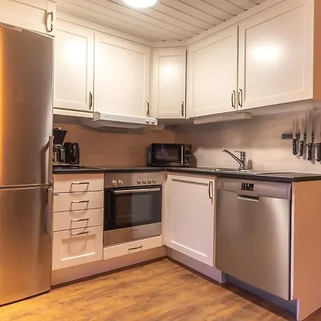 Alpin 40a Apartamento Trysil