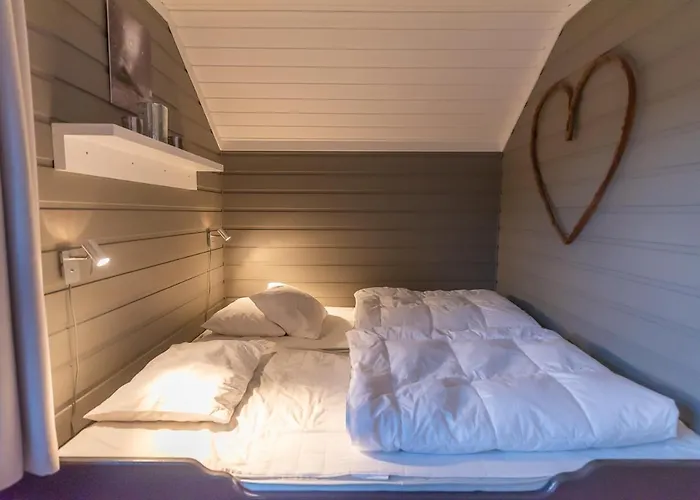 Alpin 40a * טריסיל